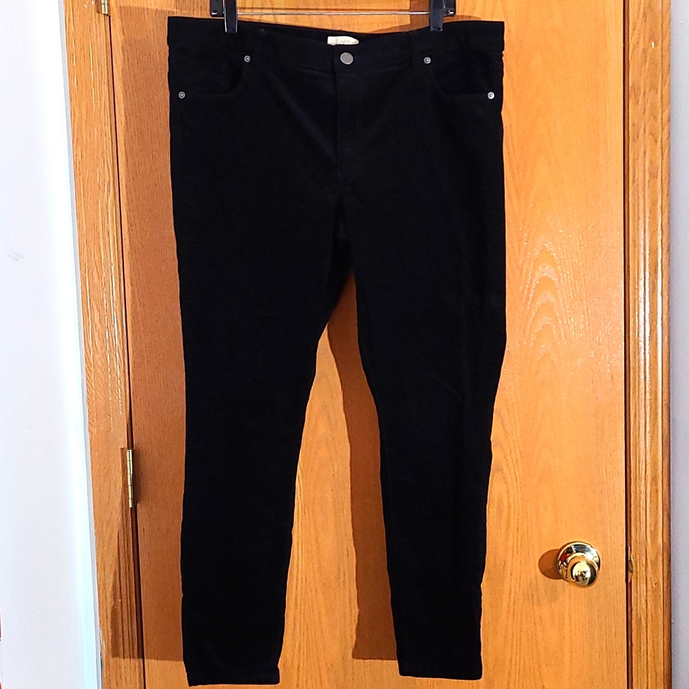 Loft Velvet Black Skinny Jeans Curvy